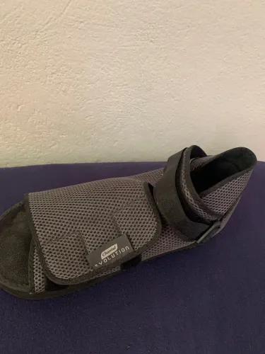 Bota