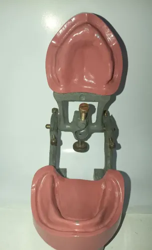 Manequim odontológico