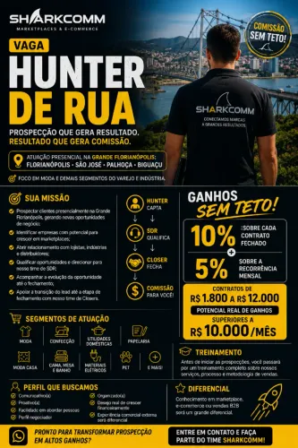Vendedor Externo
