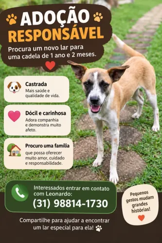 Cachorro
