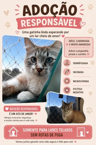 Doação gata