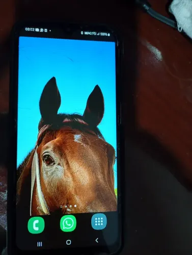 Celular Samsung Galaxy m23