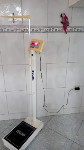 Vendo Balança em boas condições!