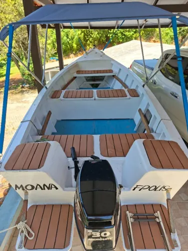 Barco motor mercury 30 hp