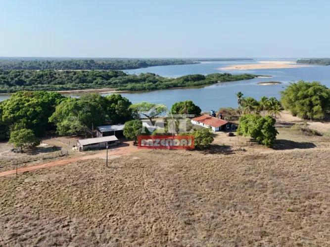 Fazenda 413 Alqueires (1.999 Hectares) Conceição do Araguaia - GO