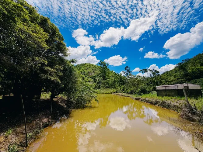 Exclusividade em Santa Teresa: Sítio com 2hectares e escritura. 