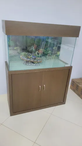 Aquário e decoração 