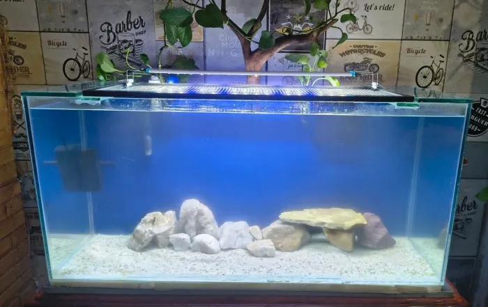 Aquário 200L
