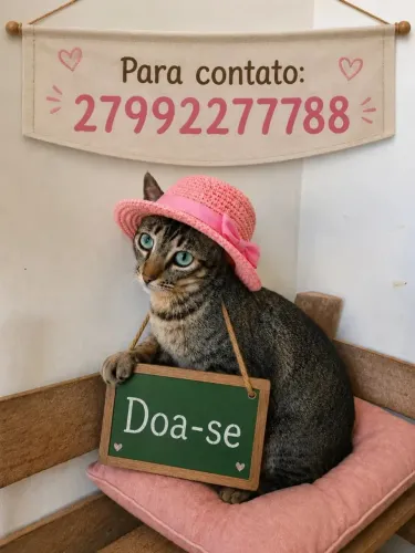 Doando vários gatinhos