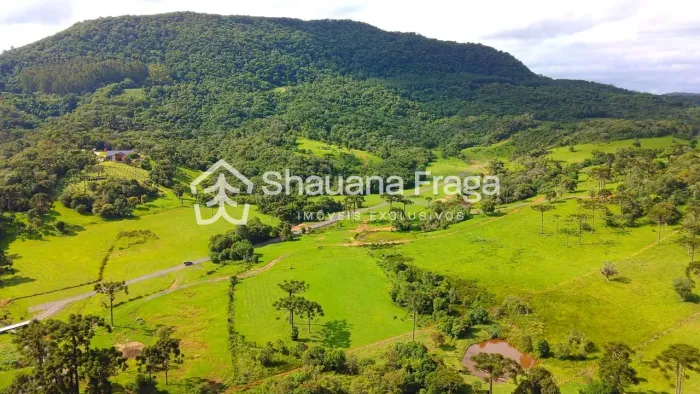 Rancho Queimado/SC - Terreno à Venda 3 hectares, plano e com pastagem - Bairro Mato Francê