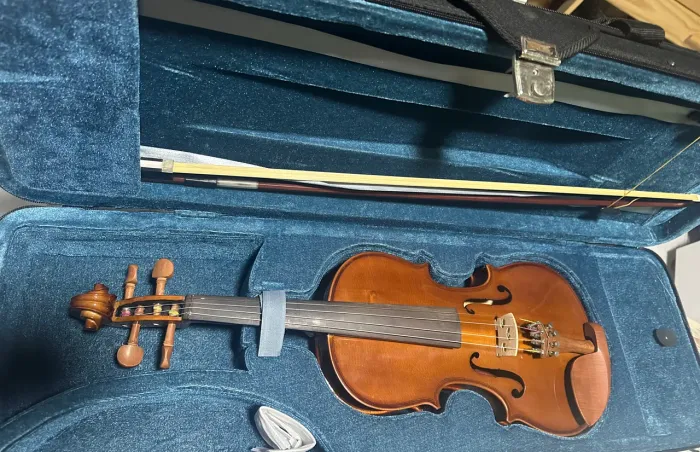 Violino Eagle 3/4 VE431 Iniciantes/apredizes