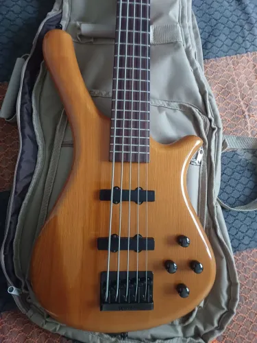 Warwick Fortress RockBass - O timbre que corta a mix!
