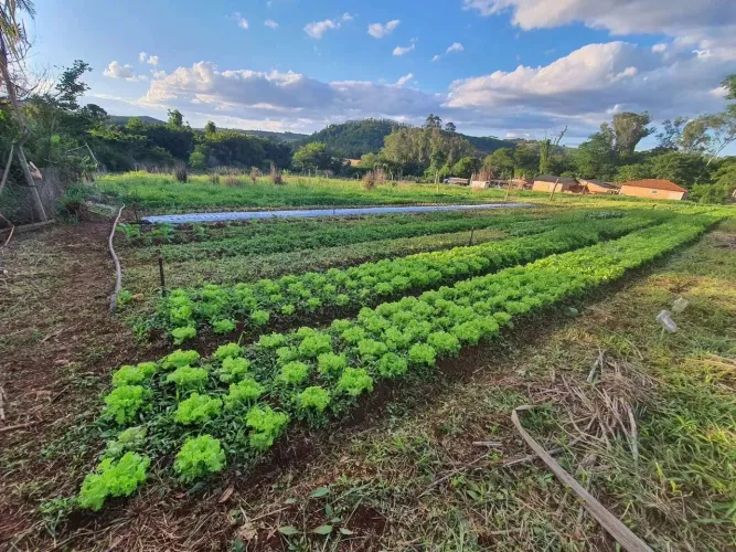 Chácara em ESTRADA SELVA TRES BOCAS LOTE 10 SUBLOTE 2 - Patrimônio Selva - Selva/PR
