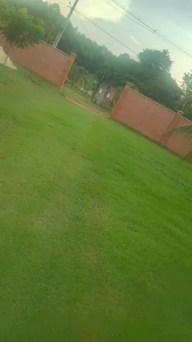 Vendo uma Chácara 20×50