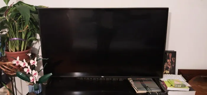 Televisão Smart Led 49 polegadas LG