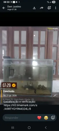 Aquários um simples outro com móvel