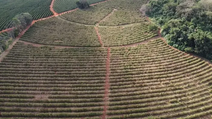 sitio em são sebastião do paraiso 11 alqueires 3.800.000.00    ( ma )