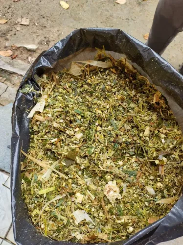Venda de silagem de milho 15 reais o saco de 20kg