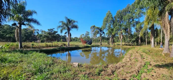 Chácara à venda com 10.890M , plana, 2 tanques, 3 nascentes, casa, Faxina, São José dos Pi