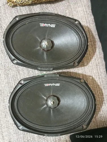 Auto falante snaker 220 com bobina queimada 80 reais *