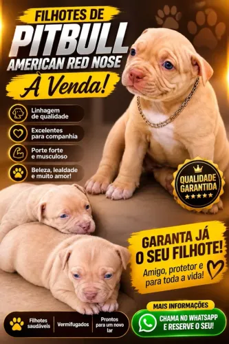 Filhotes de Pit Monsters
