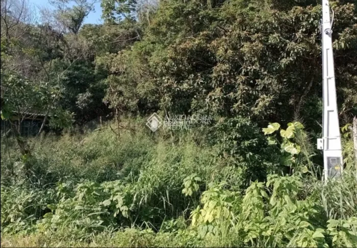 Terreno para vender na Armação, Viabilidade de Construção, Florianópolis