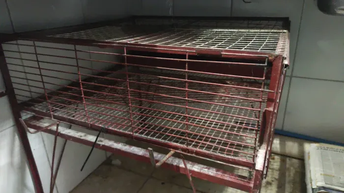 Itens para pet shop