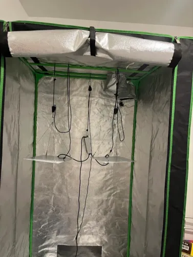 Grow e Led para cultivo