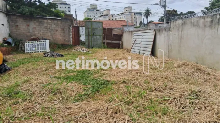 Venda Lote-Área-Terreno Frei Leopoldo Belo Horizonte