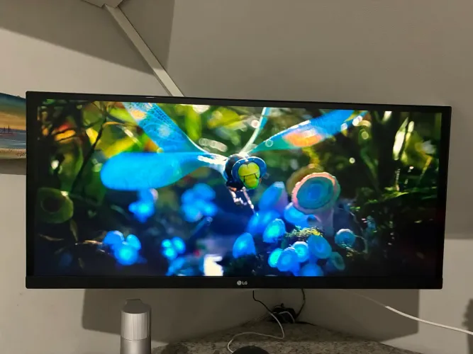 Monitor LG UltraWide 29? Full HD 29WK600