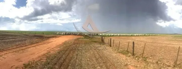 Fazenda - Nova Maringá - Zona Rural