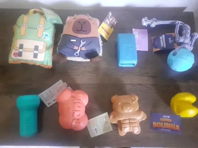 Caixa de brinquedos pet Petiko