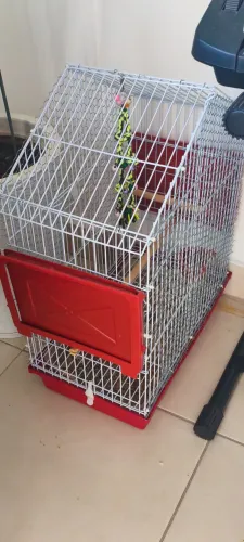 Gaiola para aves