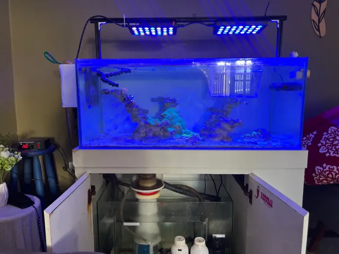 Aquário marinho 280L (Completo)