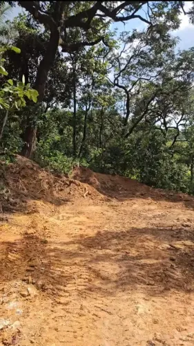 Lote 300m São Joaquim de Bicas