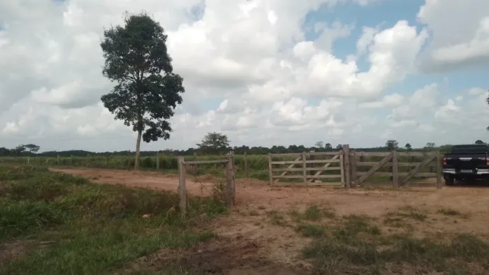 Fazenda em Santa Maria