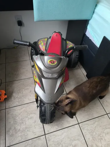 Moto elétrica infantil com carregador