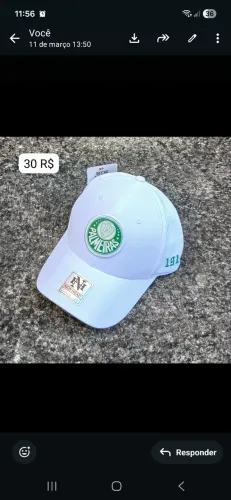 Boné do Palmeiras