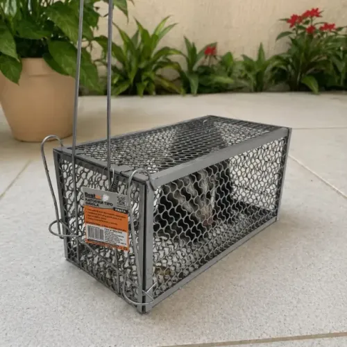 Ratoeira Armadilha Pega Rato Gaiola Grande Com Mola Prata