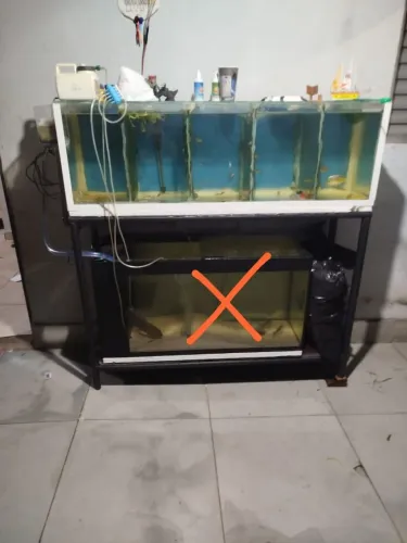 Aquário 182L