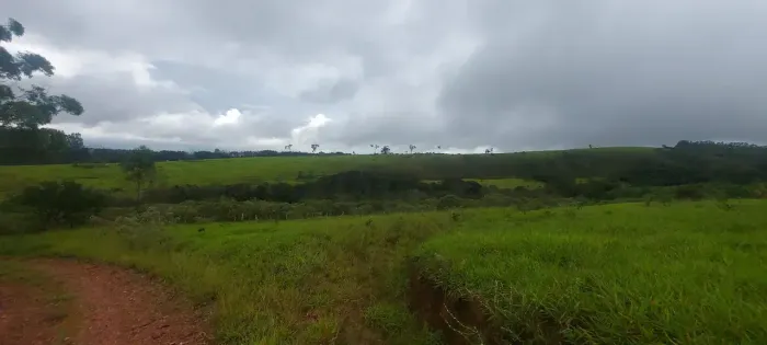 Fazenda em Desterro de Entre Rios MG. 274 HECTARES. Boa topografia. PLANTAÇOES OU GADO