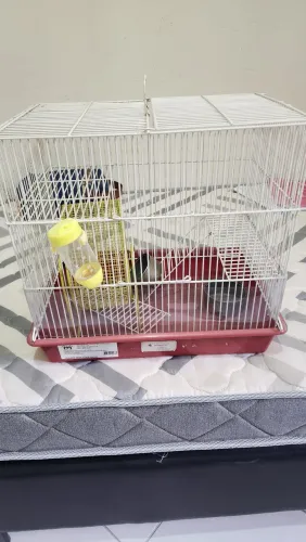 Gaiola hamster