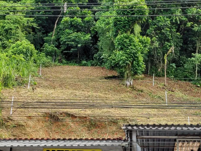 Galpão com loja a venda.