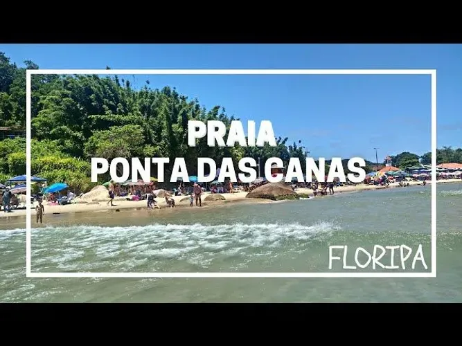 Excelente ponto comercial em Ponta das Canas