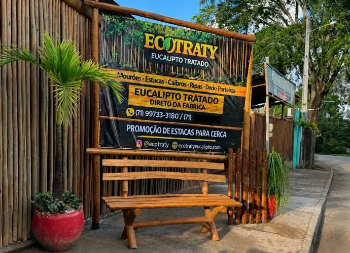Eucalipto Tratado para Salvador e Região | Pronta Entrega