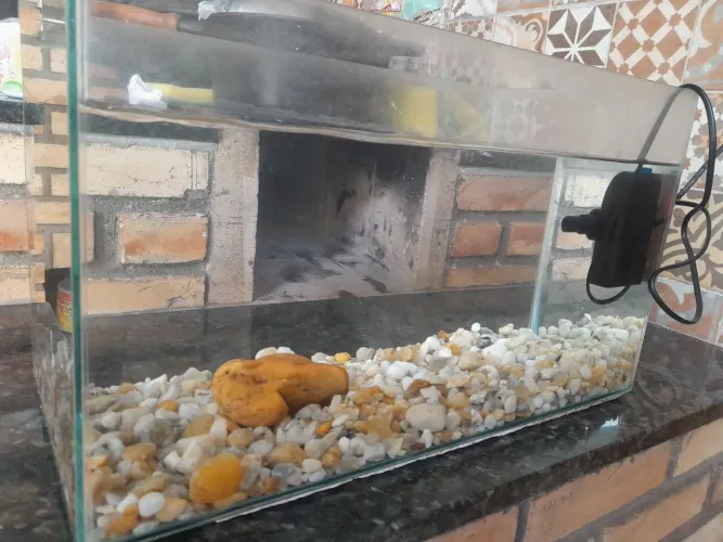 Aquario com bombinha e pedras