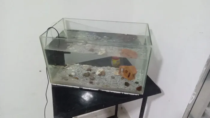 Aquário 50L completo