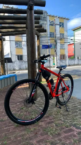 Bicicleta Rava Aro 29 Profissional