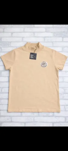 camisas feminina do p ao gg
