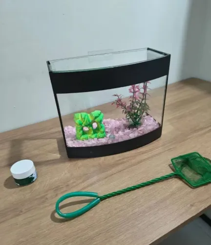 Aquário para Peixe